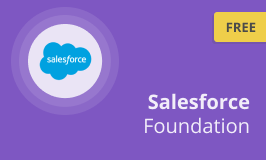 Salesforce Foundation Course