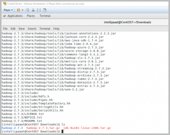 How to Install Hadoop on Windows and Linux | Step by Step Guide