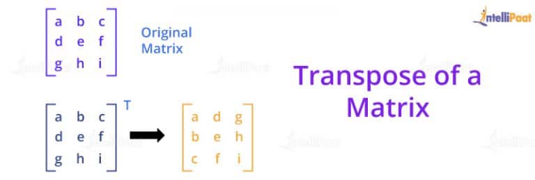 Transpose R Top R Programming Interview Questions in 2026