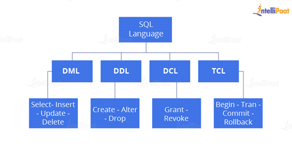 Types of SQL Languages