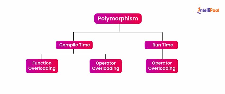 polymorphism 