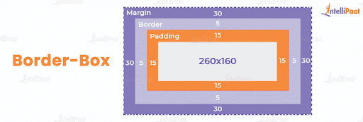 border box