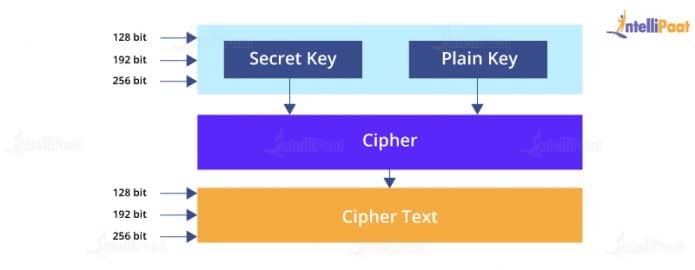 Top 35 SQL Server Interview Questions & Answers in 2025