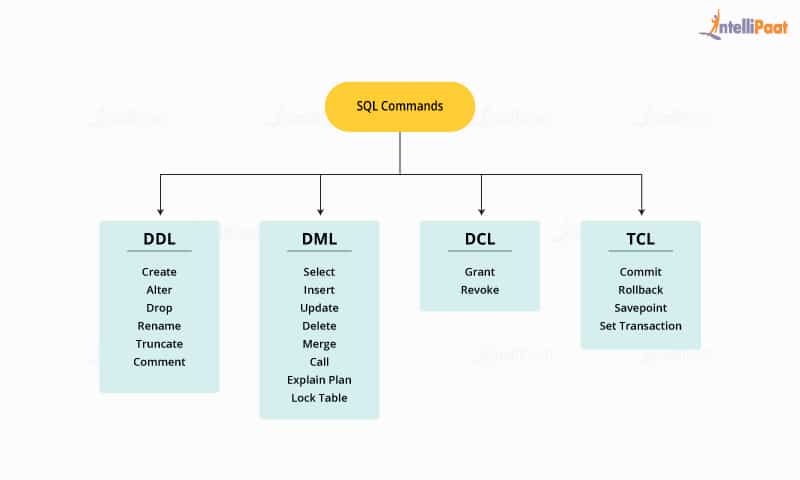 DDL and DML Commands