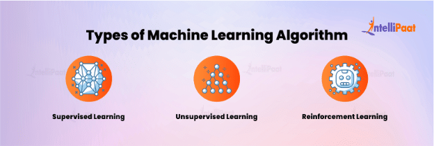 Types of Machine Learning Algorithm