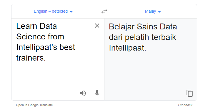 Google Translate Example