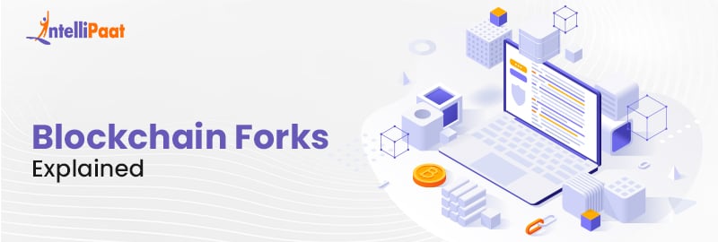 Blockchain Forks