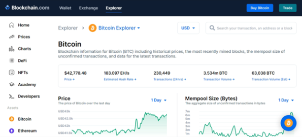 What is a Blockchain Explorer: How to Use It and Benefits