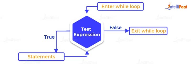 python while loop