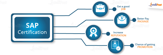 Sap Certification Cost And Sap Certification Fees Overview