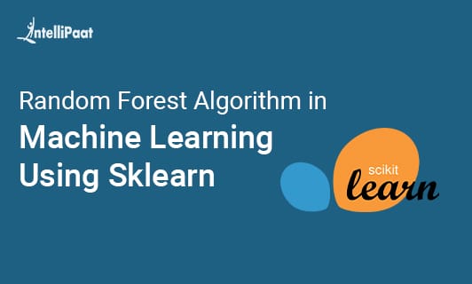 Building Random Forest Algorithm Small