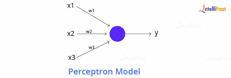 Perceptron Model