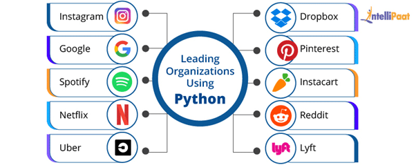 Leading Organizations That Use Python