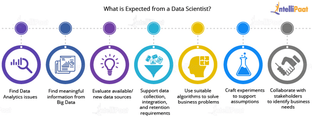 What Is Expected from a Data Scientist?