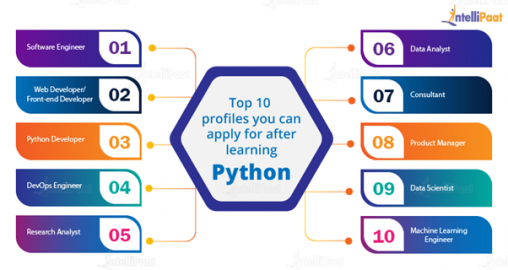 Python Developer Roles and Responsibilities [2025 UPDATED]