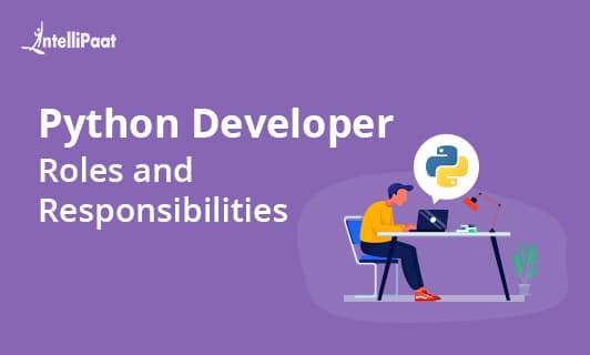 Python Developer Roles and Responsibilities Small