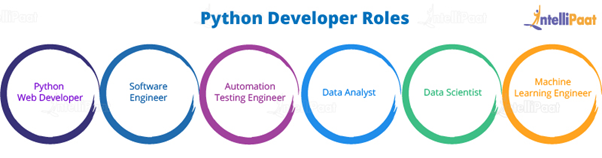 Python Developer Roles