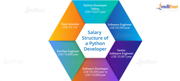 Python Developer Roles And Responsibilities [2024 UPDATED]