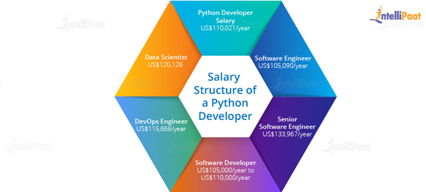 Python Developer Salary