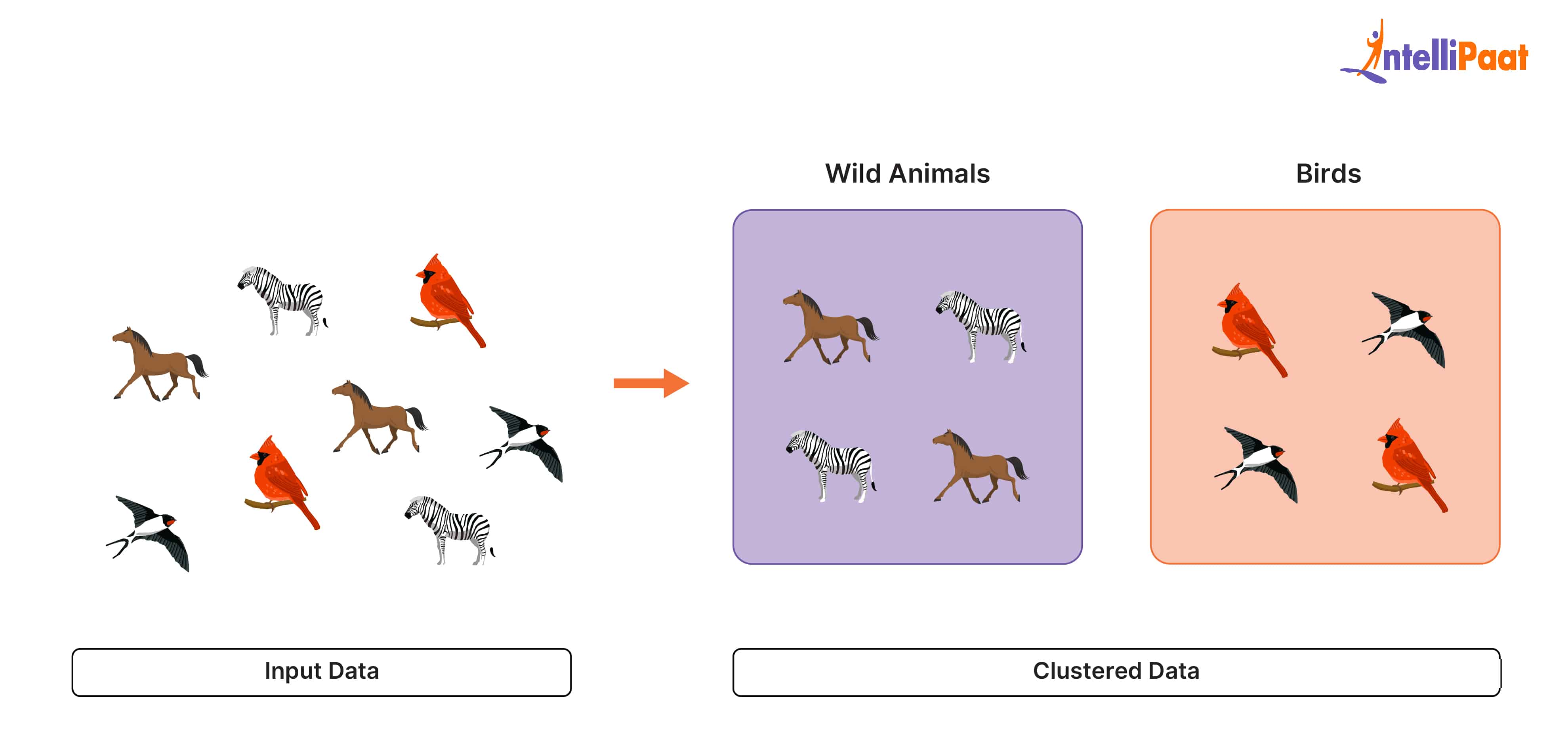 Clustered data