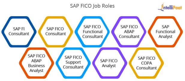 Top SAP FICO Consultant Roles And Responsibilities LaptrinhX