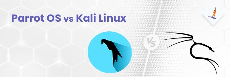 Parrot OS vs Kali Linux: The Complete Guide