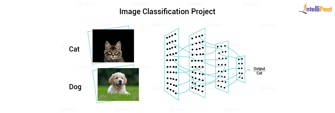 Image Classification Project