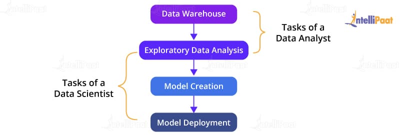 Data Analyst Tasks