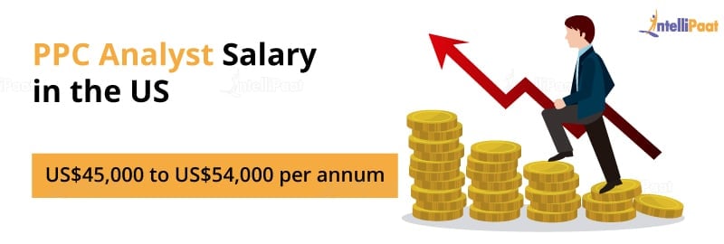 PPC Analyst Salary in the United States