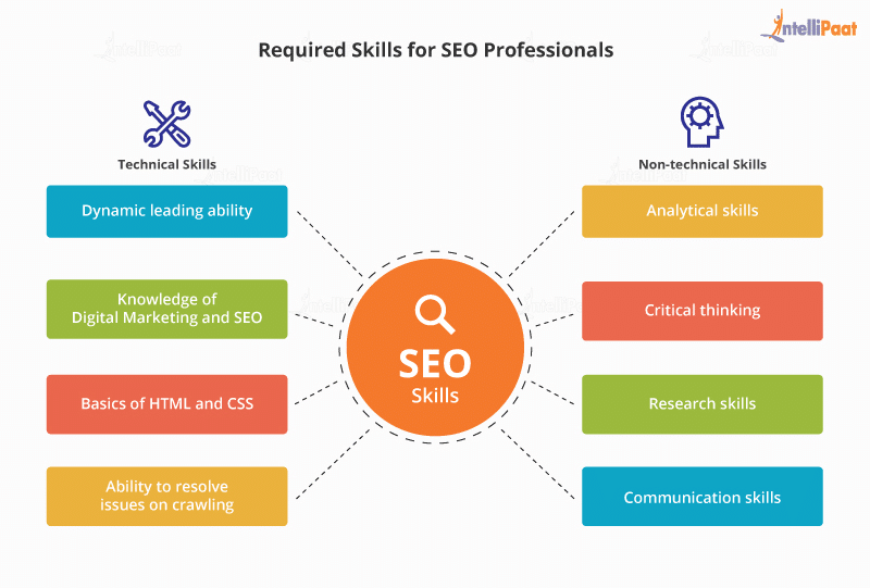 SEO Skills