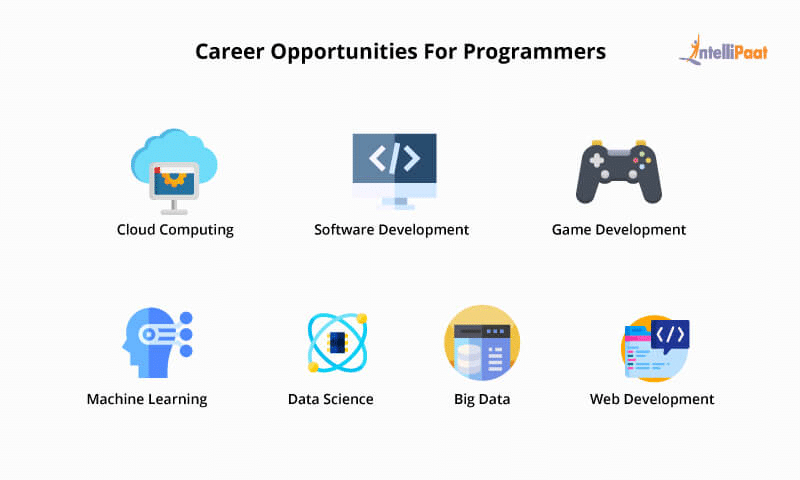 Career Opportunities for Programmers