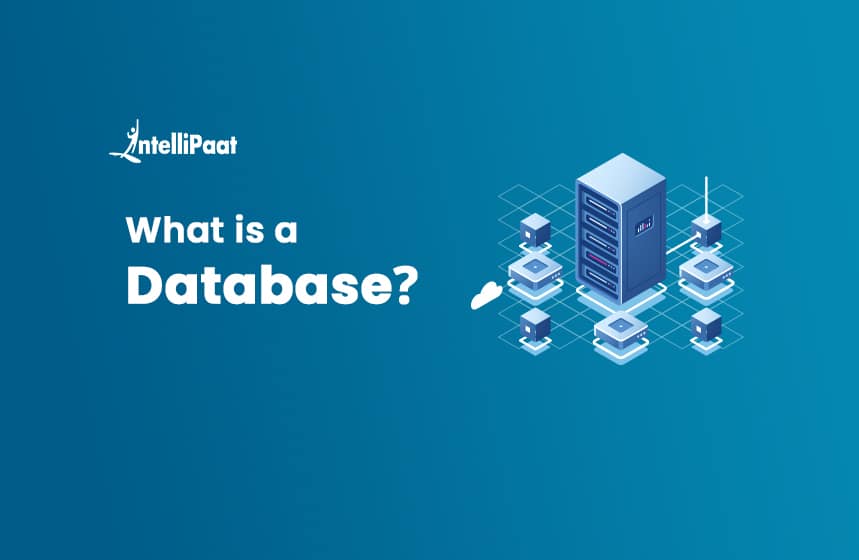 What Is a Database? (Definition, Types, Components)