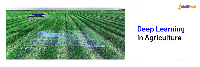 Deep Learning in Agriculture