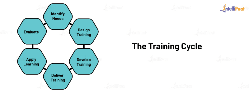 The Training Cycle