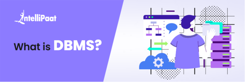 What is DBMS - Database Management System