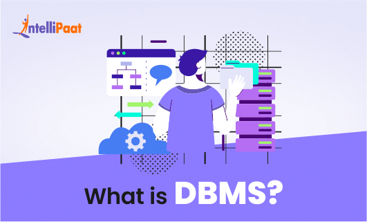 What is DBMS