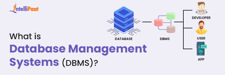 What Is DBMS? | Database Management Systems | Intellipaat