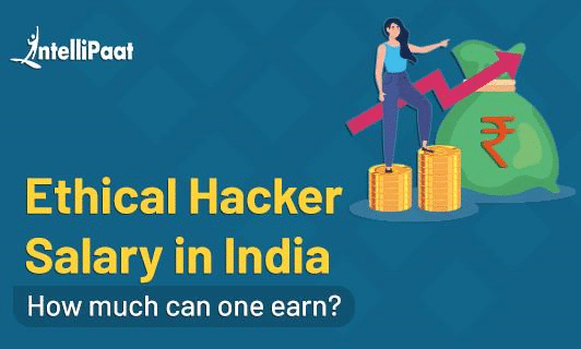 Ethical Hacker Salary in India Category image