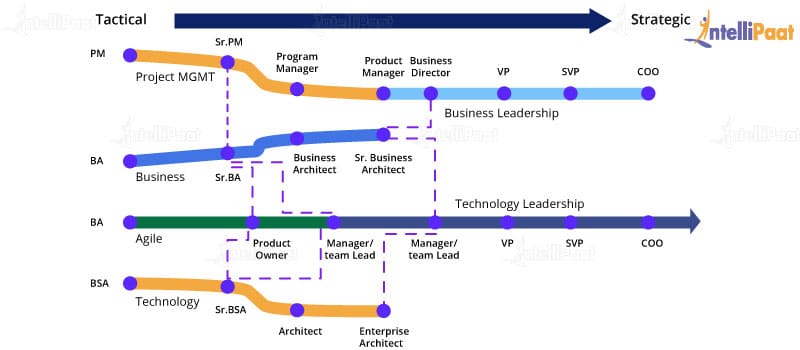 Career Path of a Business Analyst