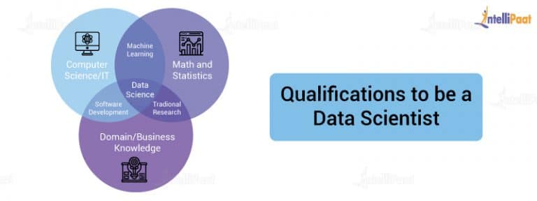 data-science-vs-software-engineer-what-to-choose-and-why