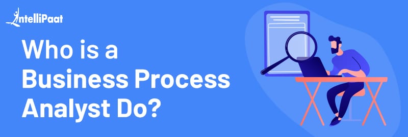 Who is a Business Process Analyst