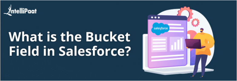 What is the Bucket Field in Salesforce