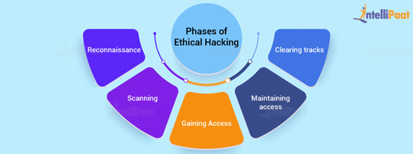 Phases of Ethical Hacking