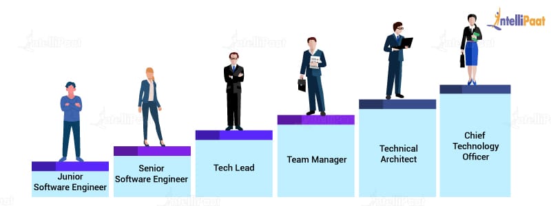 Data Science Vs Software Engineer - What to choose and Why?