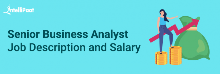 Senior Business Analyst Job Description Key Roles Salary