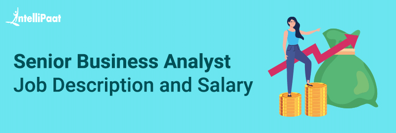 Senior Business Analyst Job Description and Salary