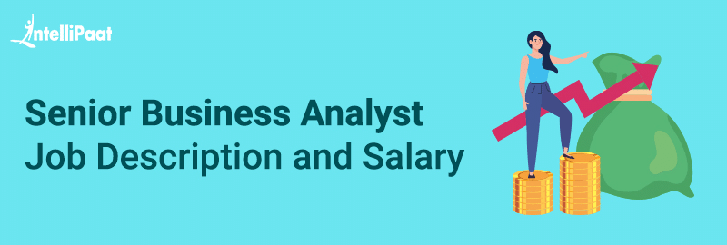 Senior Business Analyst Description