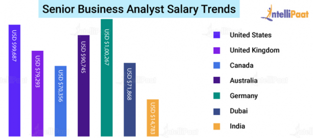 Senior Business Analyst Job Description - Key Roles & Salary