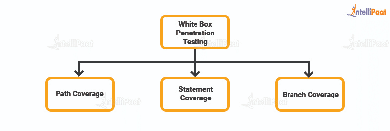 White Box Penetration Testing Techniques