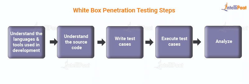White Box Penetration Testing Steps